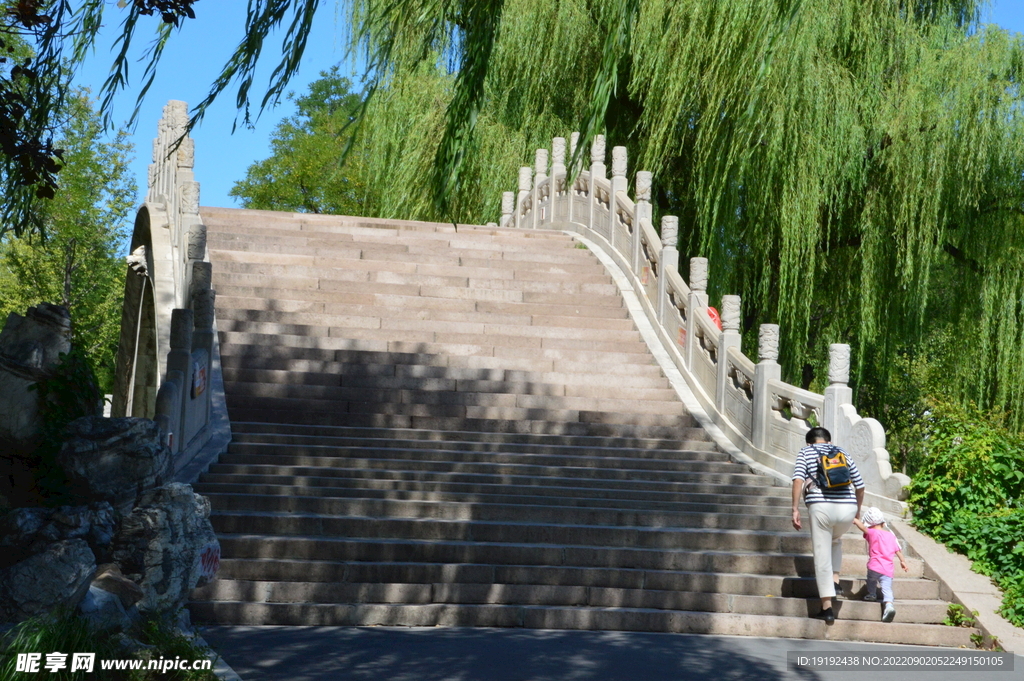 公园风景