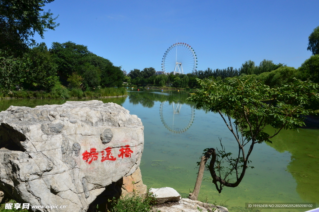 公园风景  