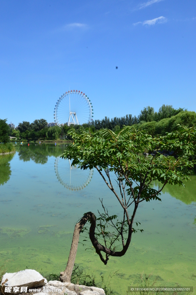 公园风景