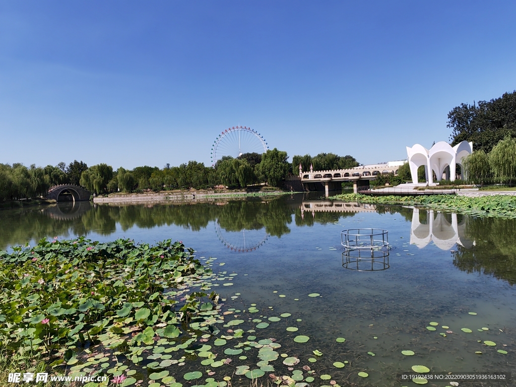 公园风景 