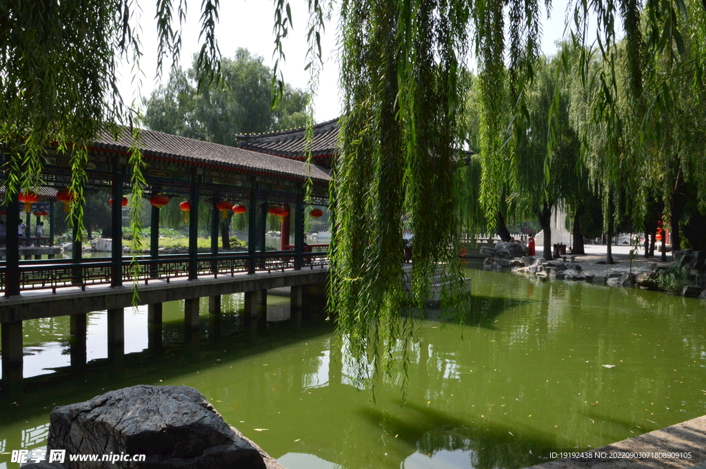 公园风景