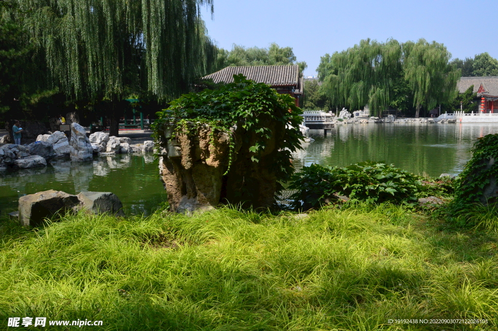 公园风景