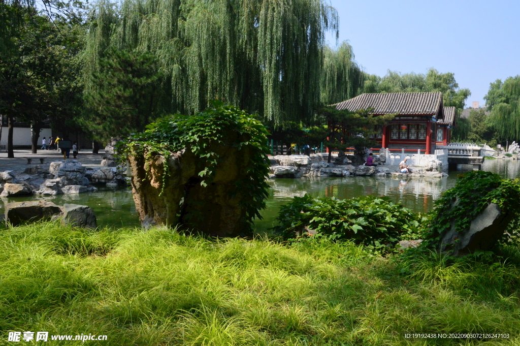 公园风景