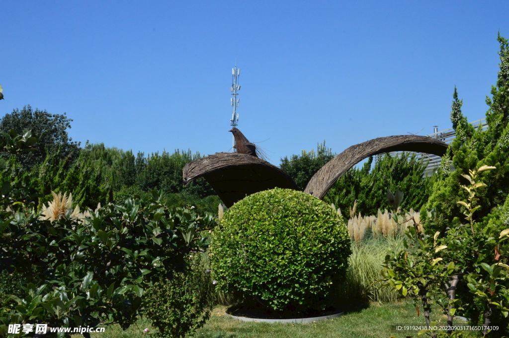公园风景  