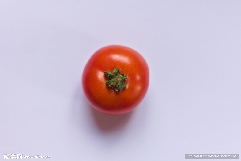 番茄             