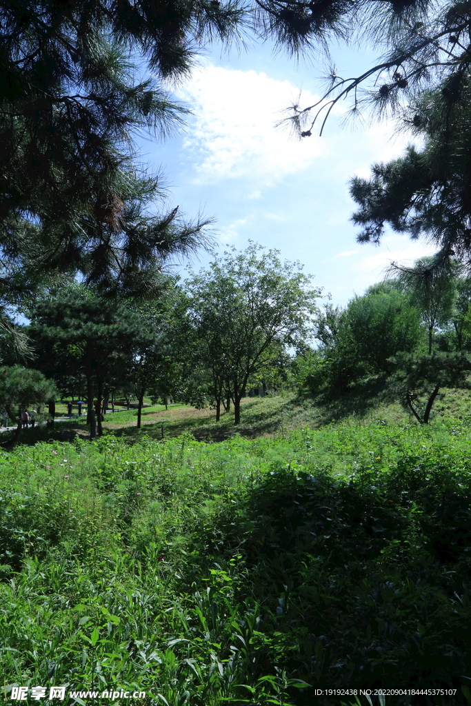 龙潭中湖风景 