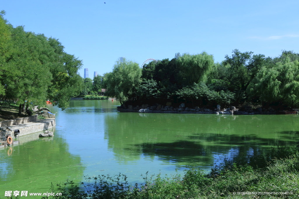 龙潭中湖风景 