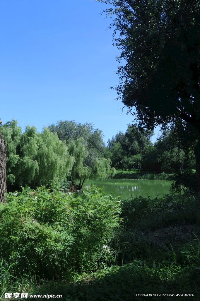 龙潭中湖风景