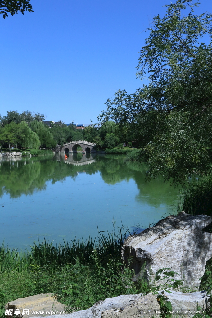 公园风景 