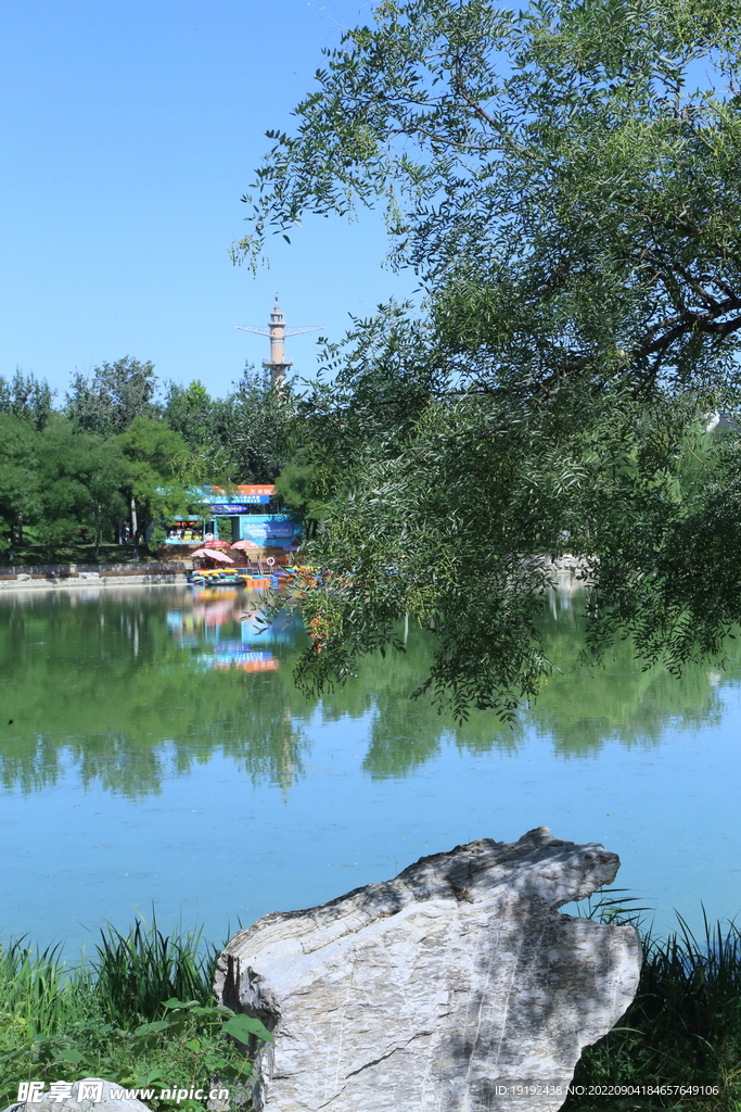 公园风景 
