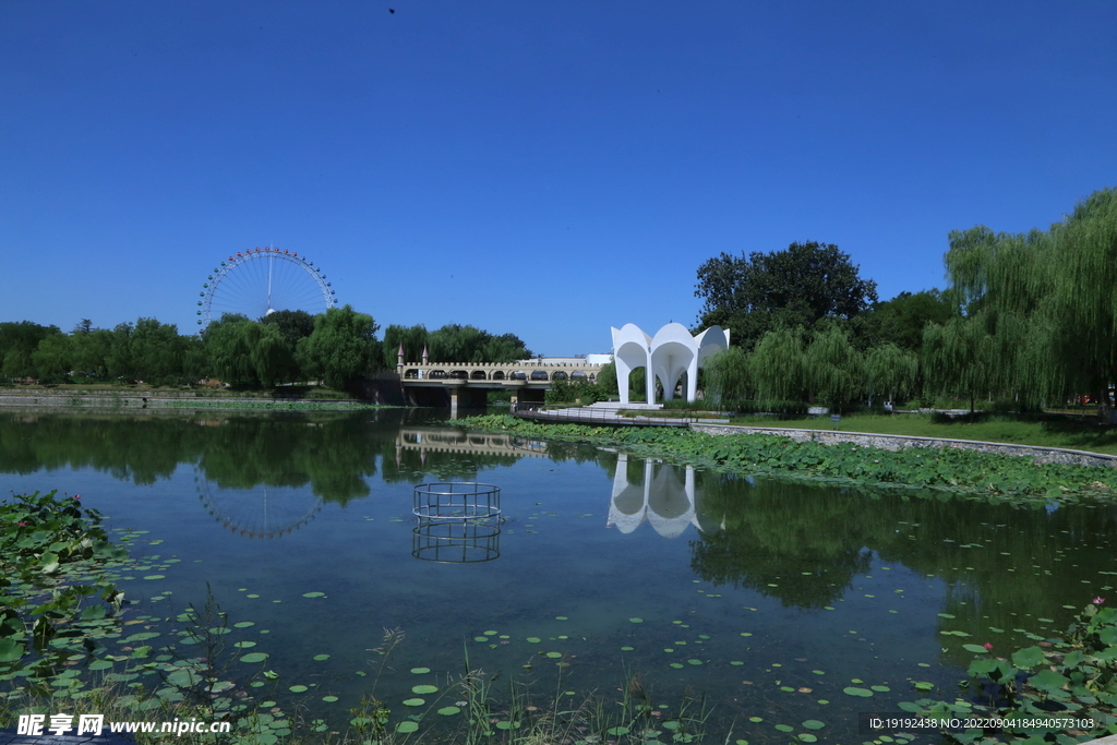 公园风景 