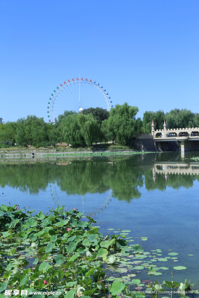 公园风景