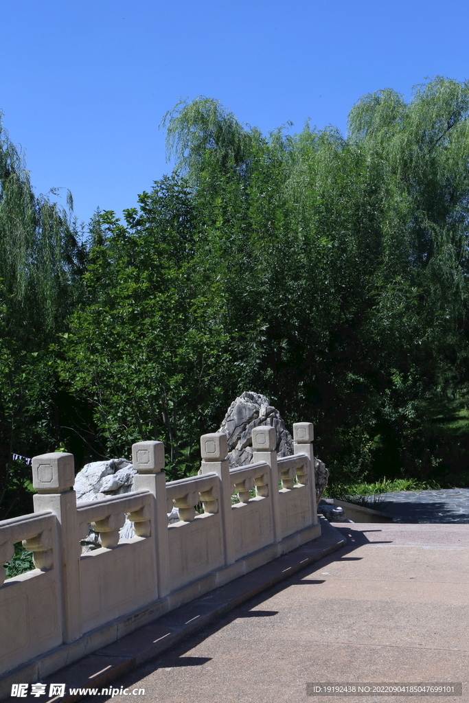 公园风景