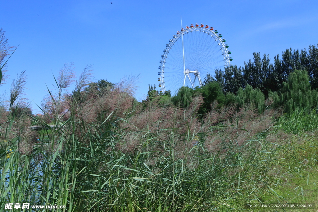公园风景  
