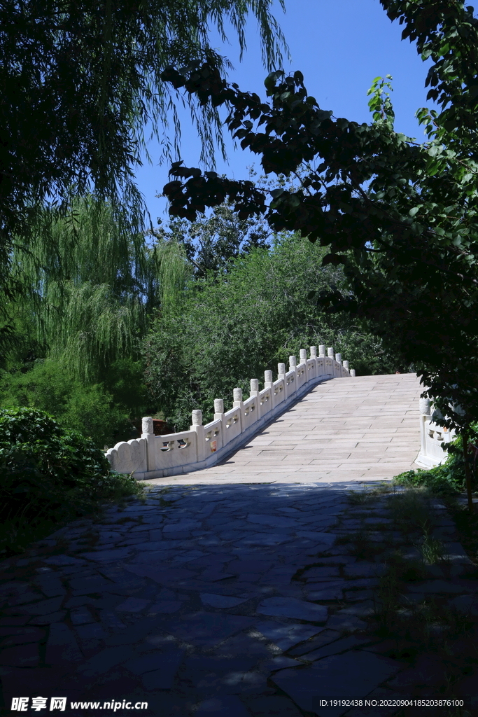 公园风景 
