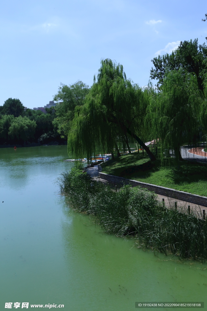 公园风景 