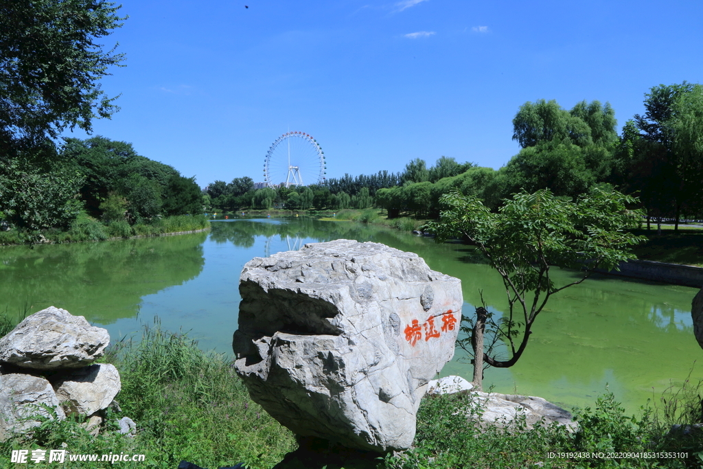 公园风景 