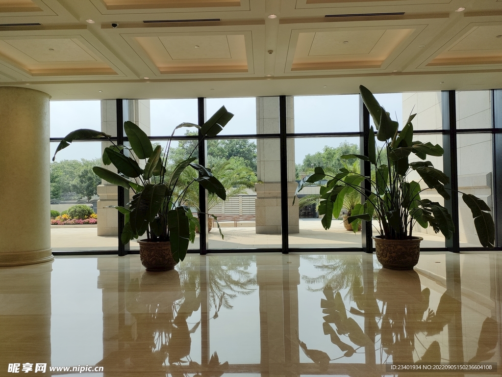 大厅玻璃绿植