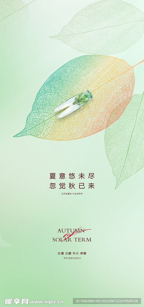 秋分