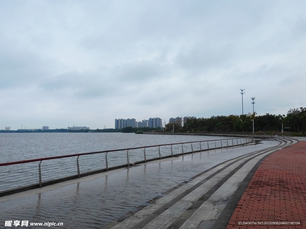 雨后湿地公园观光步道风光