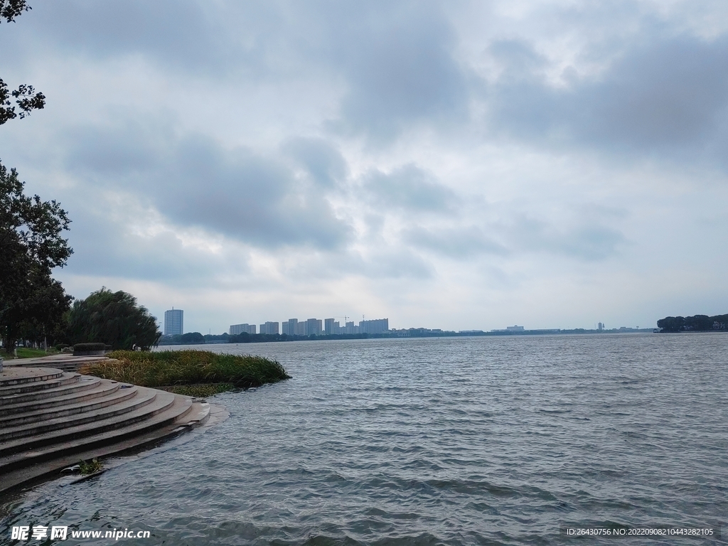 雨后湿地公园烟雨朦胧