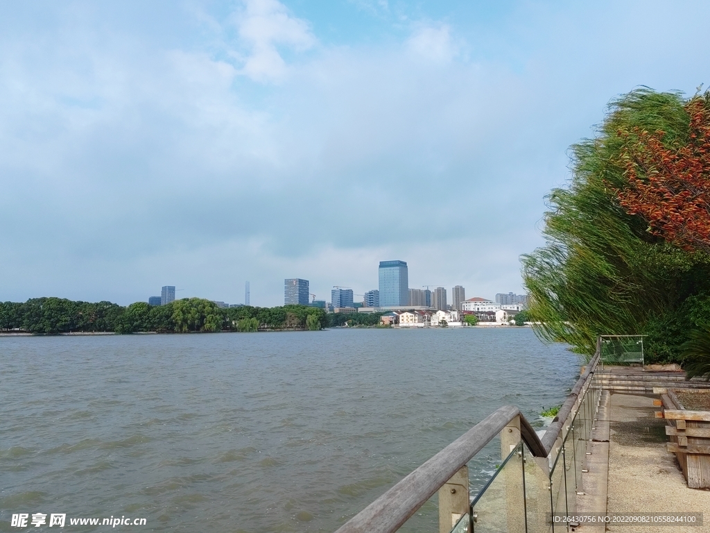 湿地公园观景步道
