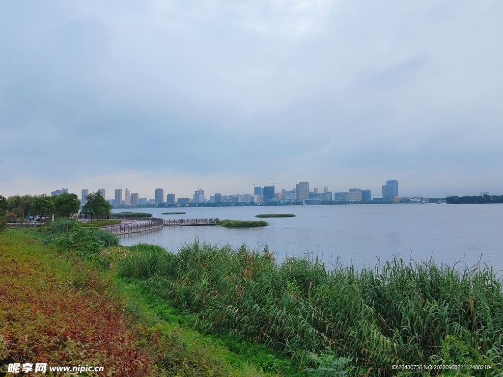 苏州湿地公园湖景风光