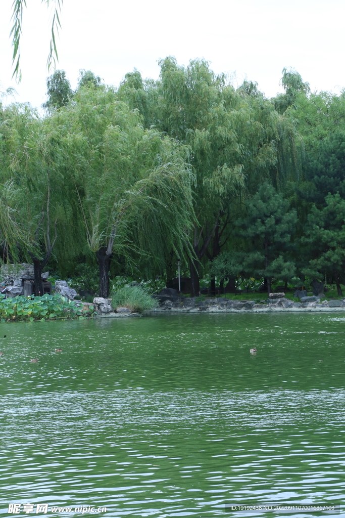 公园风景 