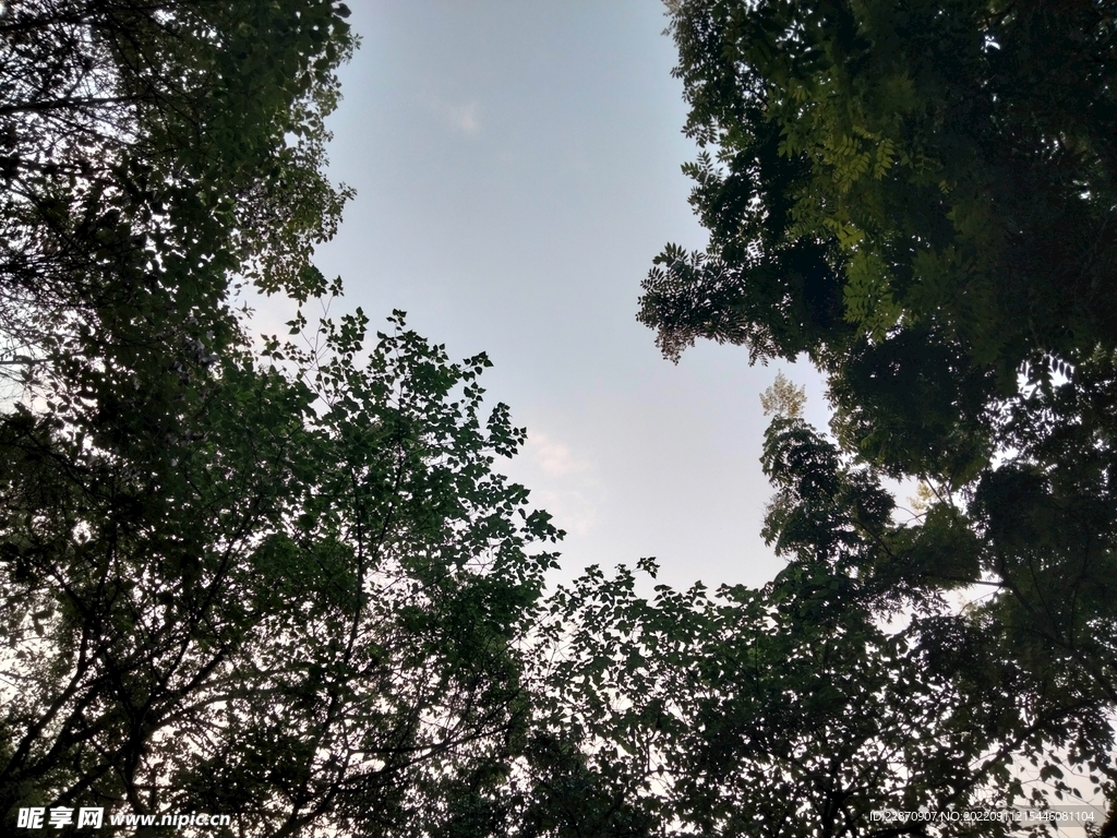 仰望天空