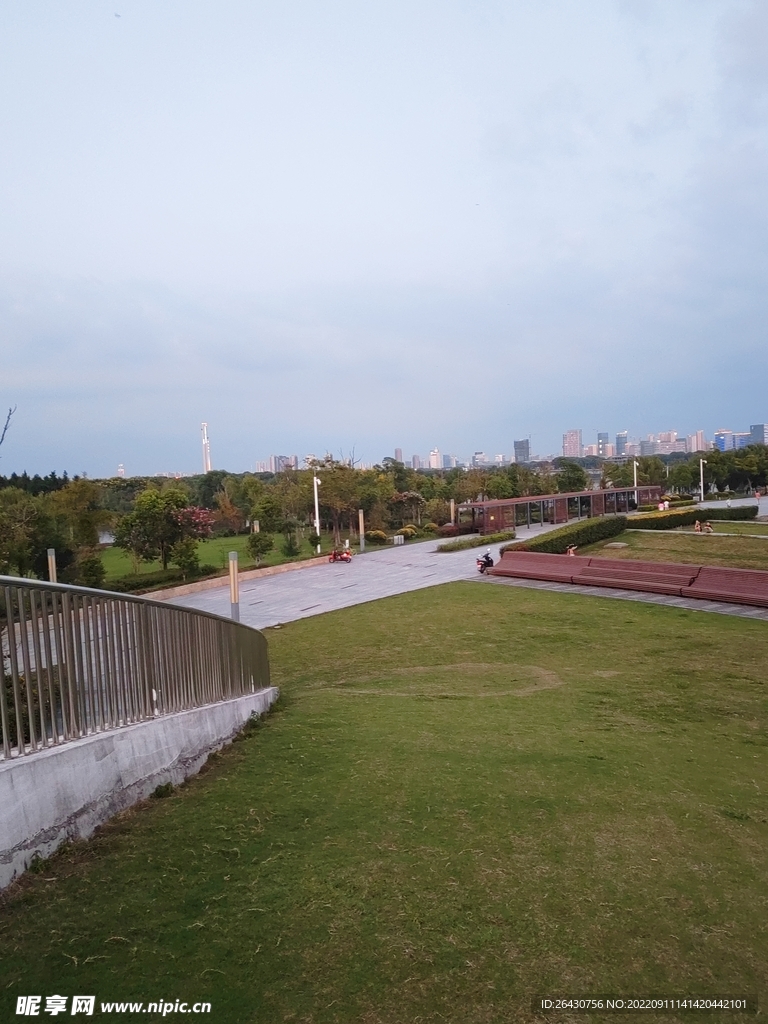 公园绿草地