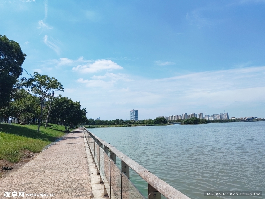 湿地公园湖边观景步道