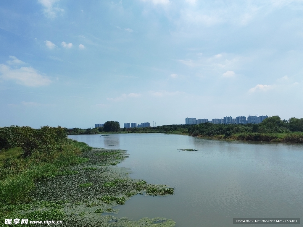湿地公园湖面滩涂风光