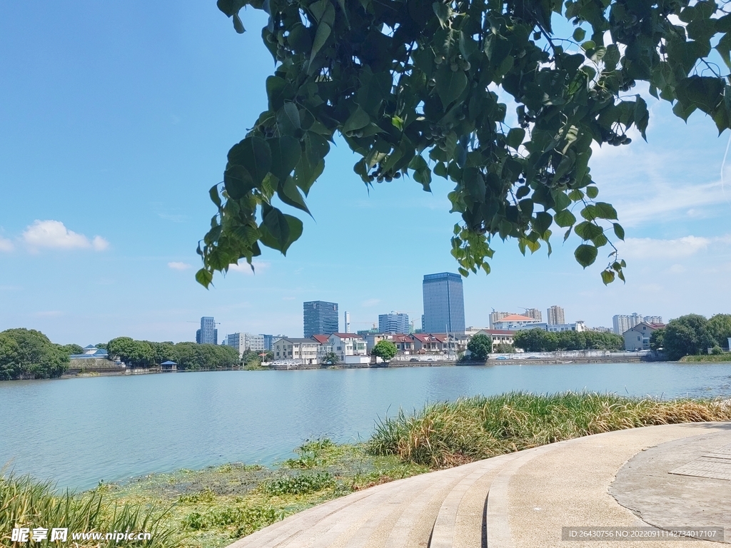 湿地公园湖边建筑风景