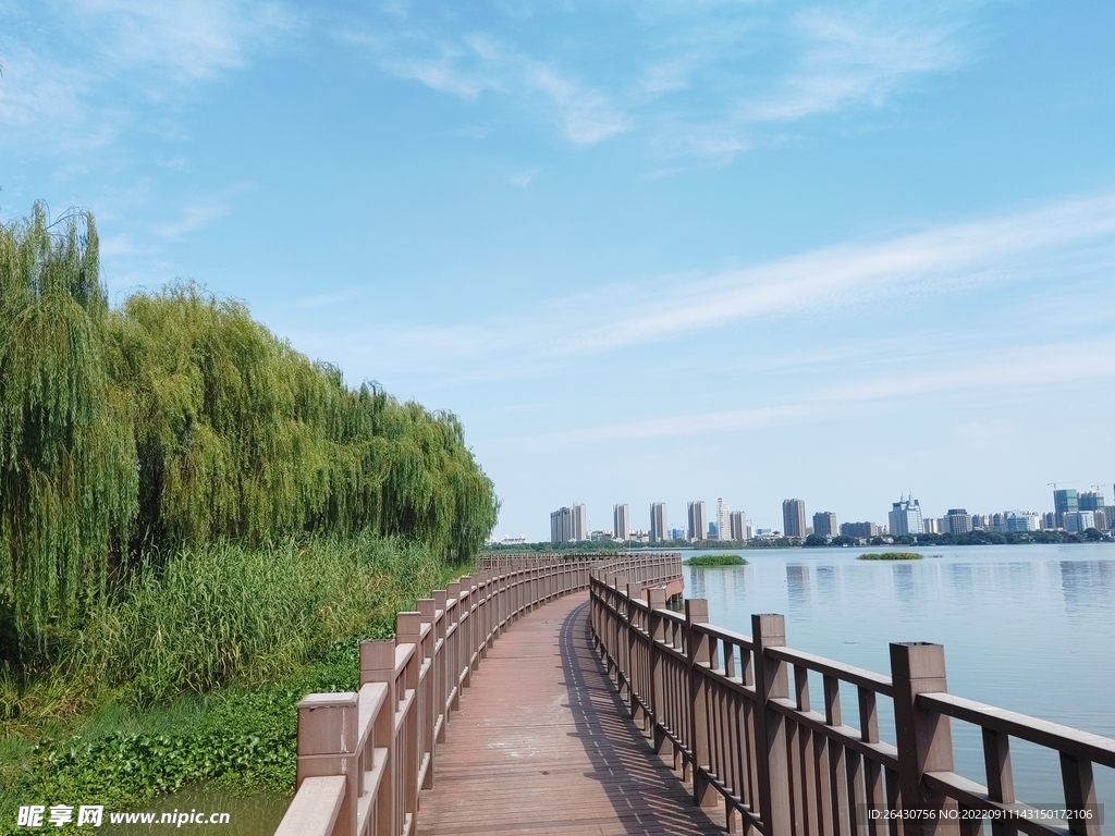 湿地公园湖边观光木质步道