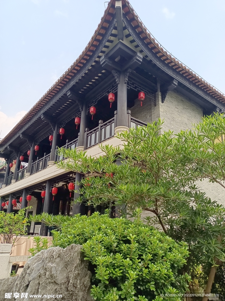 灯笼 树木 古建筑