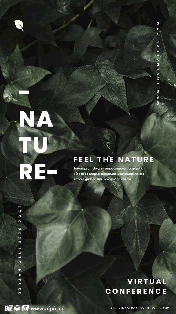 自然植物绿色叶子海报PSD模板