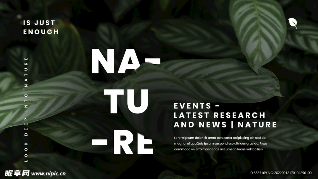 自然植物绿色叶子海报PSD模板