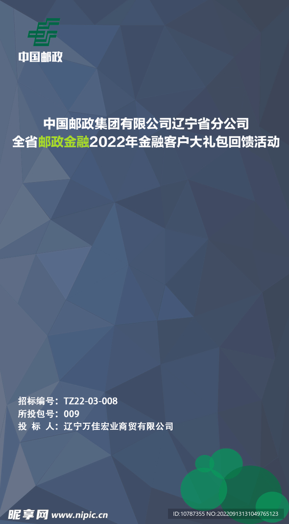 邮政标书封面