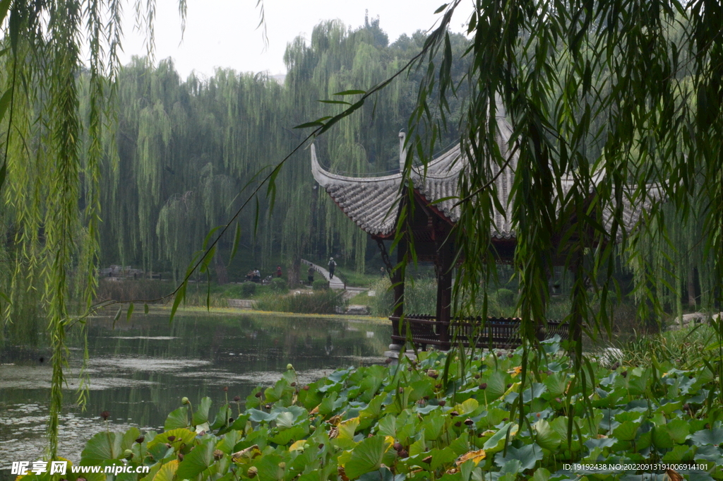 公园风景 