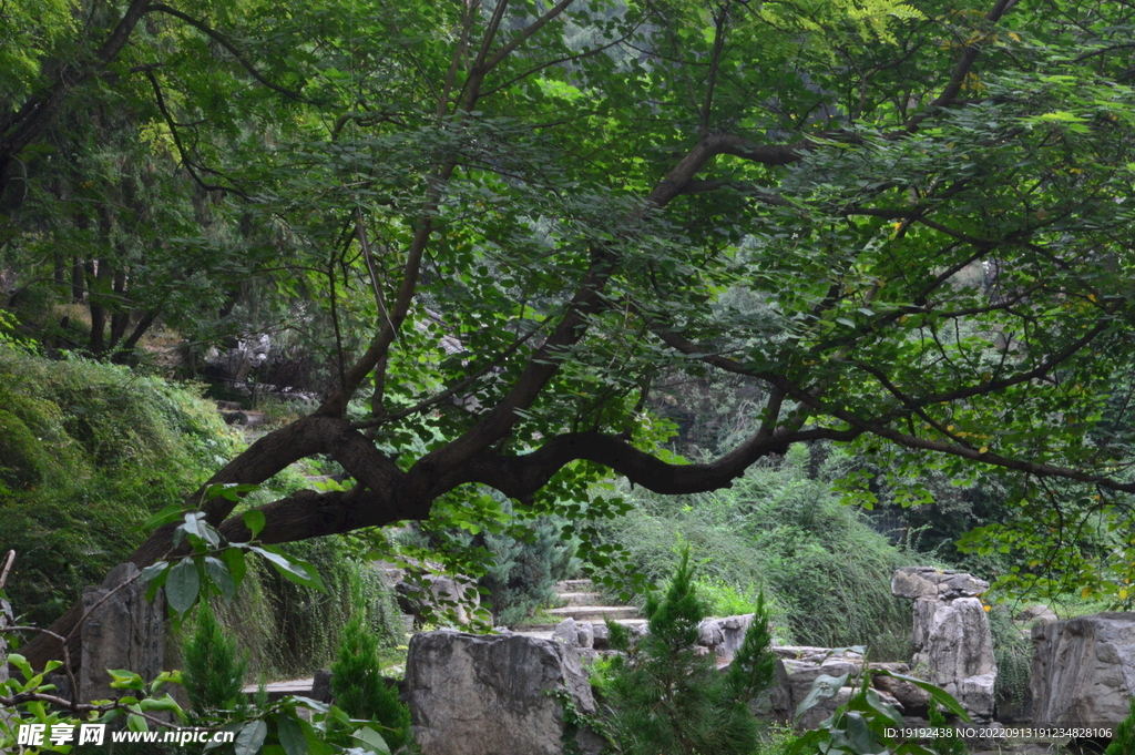 陶然亭风景 