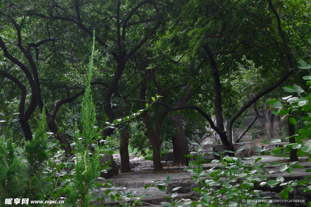陶然亭风景 