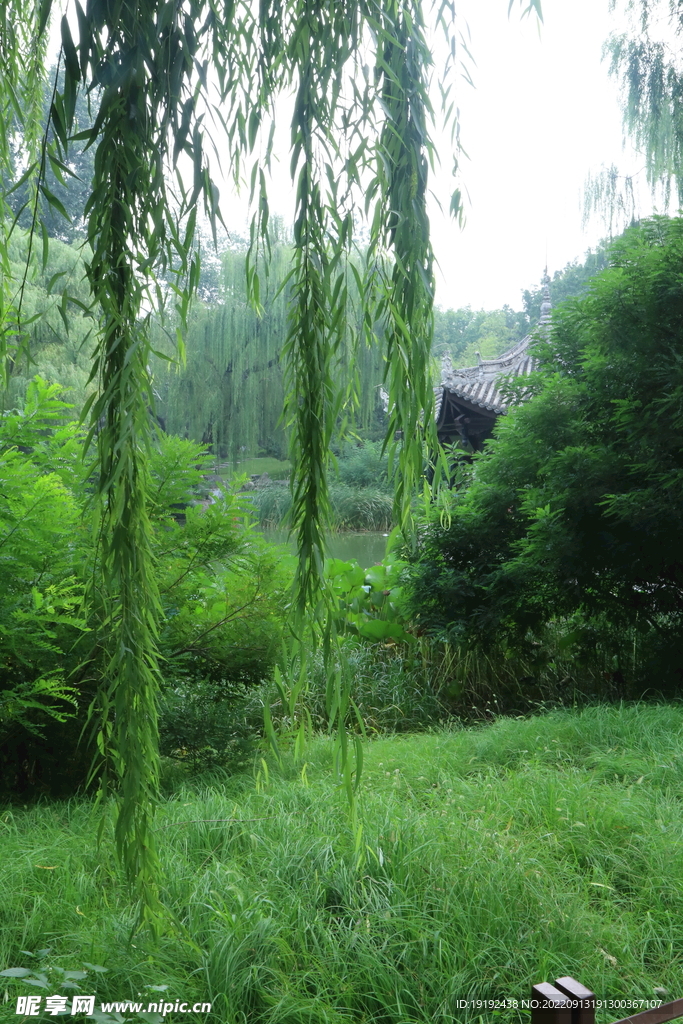 公园风景 