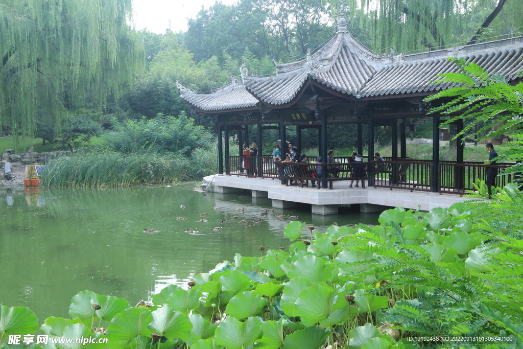 公园风景  