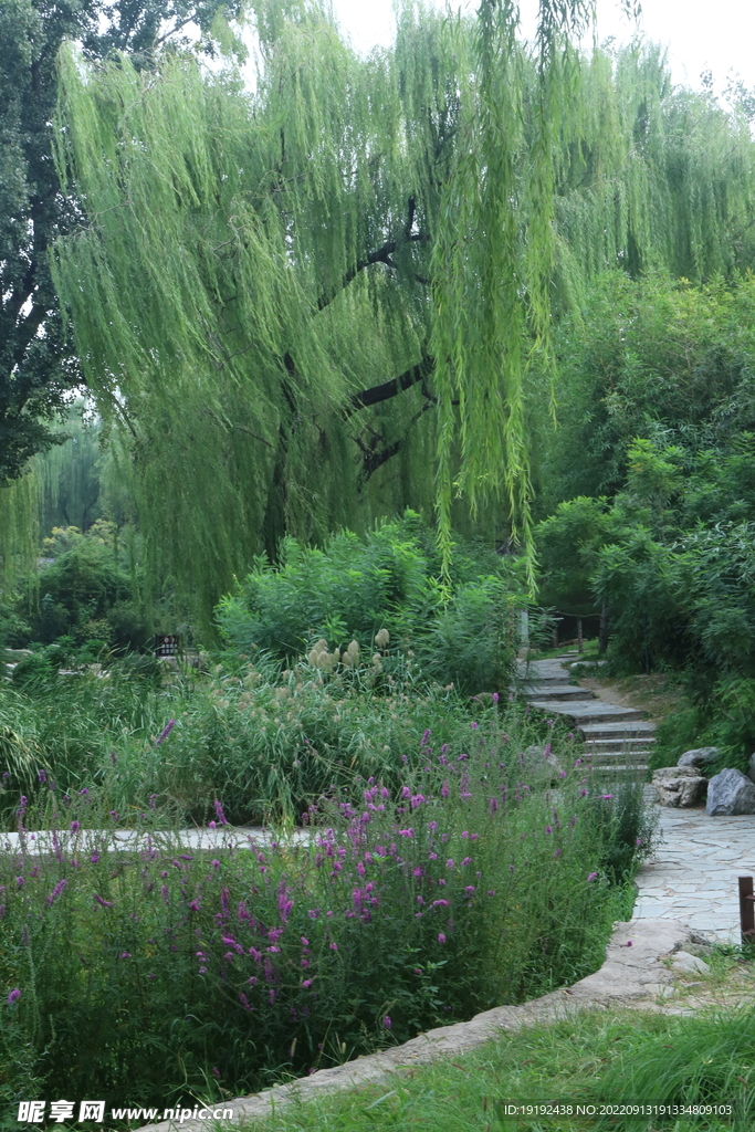 陶然亭风景  