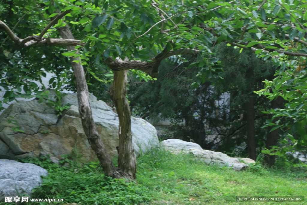公园风景  