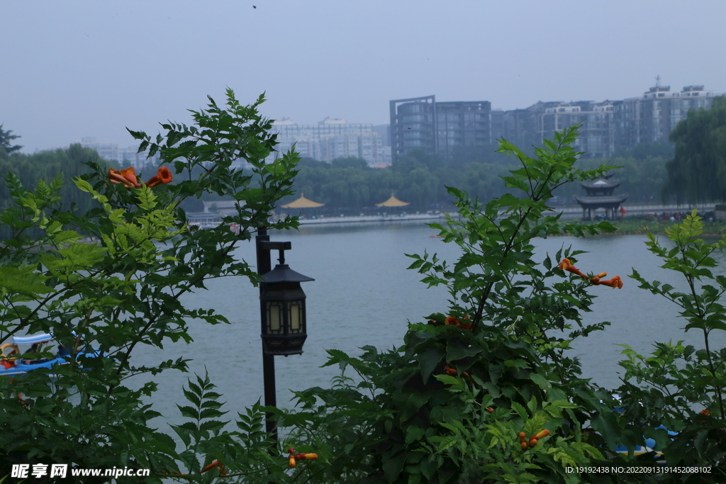 公园风景 