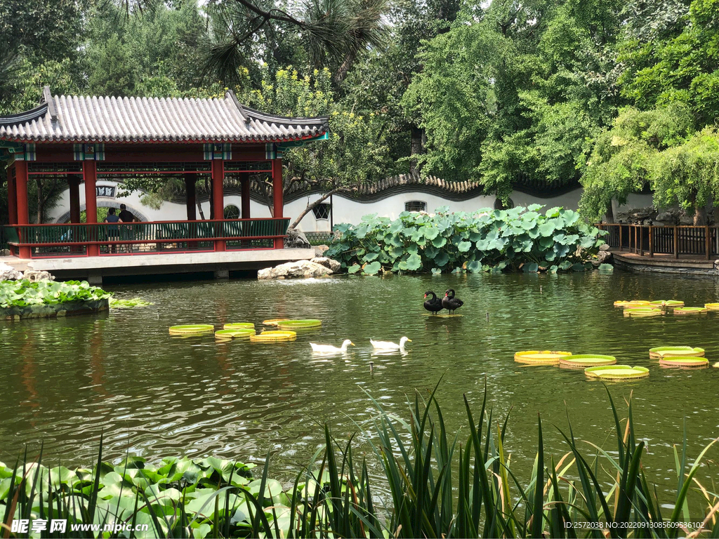 北京宣武艺园