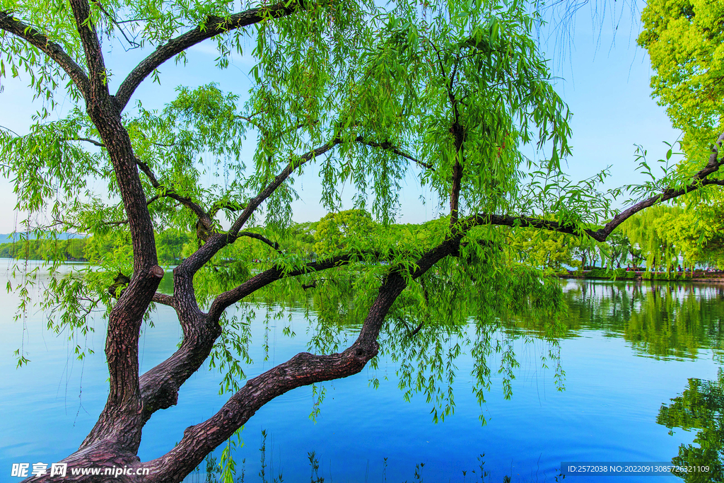 杭州西湖风景