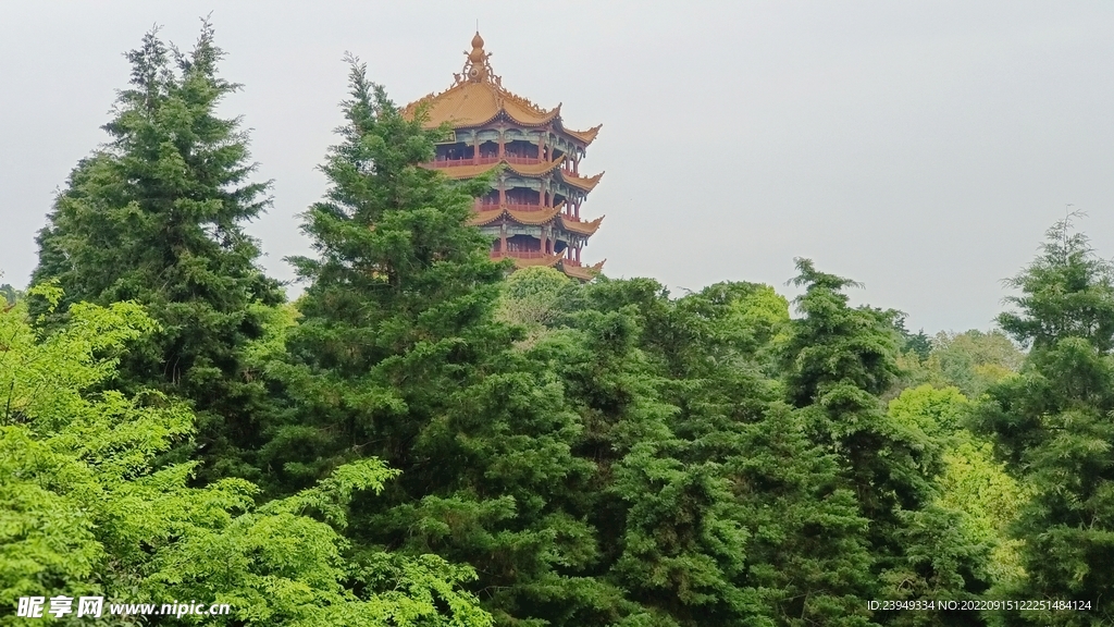 富乐阁