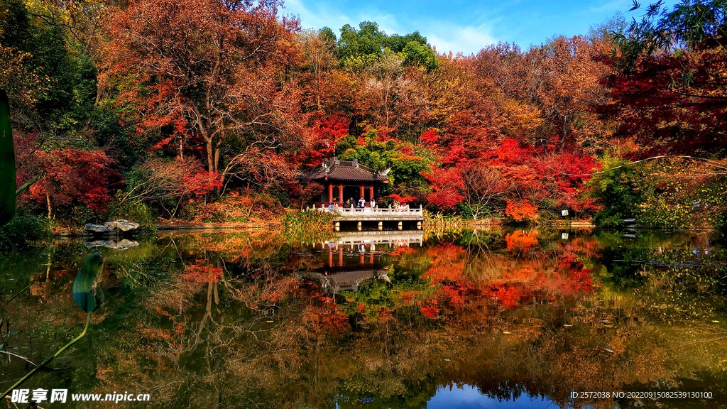 栖霞山秋天